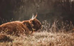 Jak Poznat Člověka Na Pervitinu